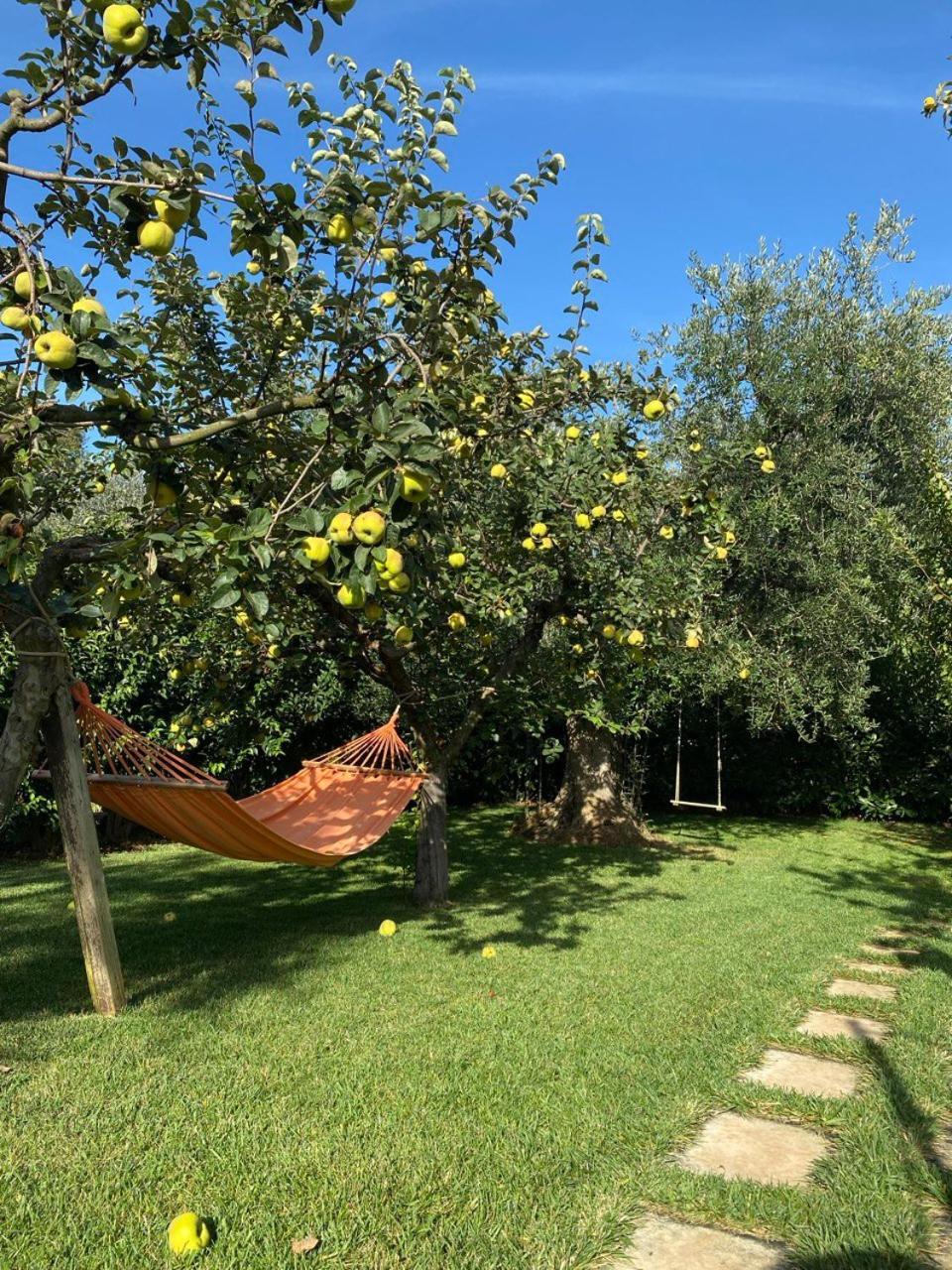 Il Trullo Del Lazzeruolo