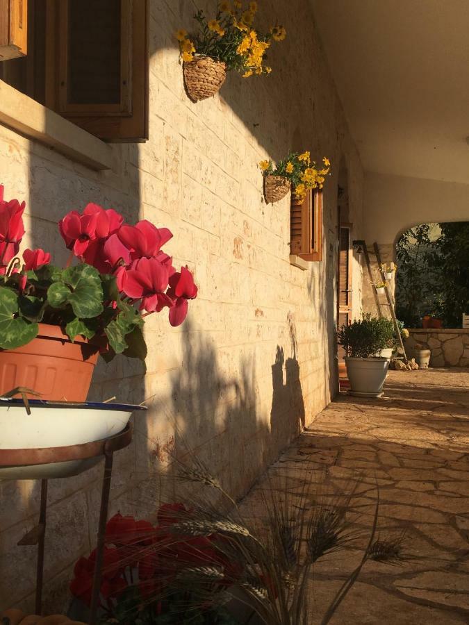 Il Trullo Del Lazzeruolo * Santa Lucia (Brindisi)